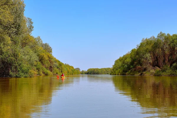 Çift (erkek ve kadın) Tuna Nehri 'nde sarı bir kano ile kürek çeker. Bahar kanosu ve su turizmi ve eğlence amaçlı