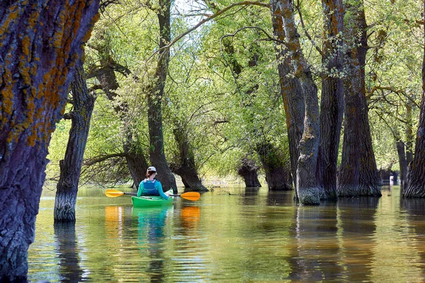 Chica Kayak Verde Entre Árboles Inundados Kayak Áreas Silvestres Río — Foto de Stock