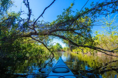 Güneşli bahar gününde yeşil ağaçlarla nehir kıyısındaki mavi kanonun pruvasından manzara. Vahşi doğada kayak yapmak