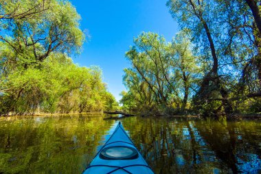 Güneşli bahar gününde yeşil ağaçlarla nehir kıyısındaki mavi kanonun pruvasından manzara. Vahşi doğada kayak yapmak