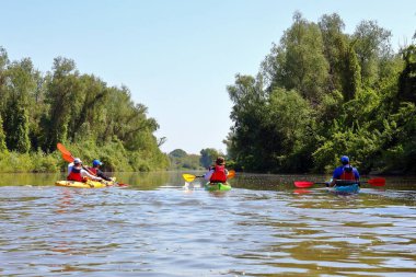 Bir grup insan (arkadaş) Tuna Nehri 'nde yabani üzüm çalılarının yanında kayak yapıyor. Bahar kayağı