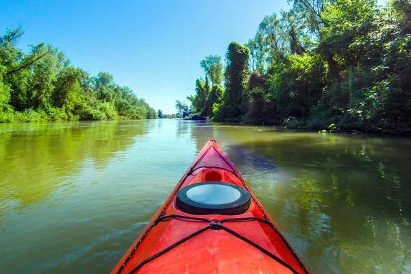 Arco Kayak Rojo Río Danubio Verde Bosque Verano Fondo —  Fotos de Stock