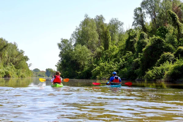 Grupo Personas Amigos Haciendo Kayak Río Danubio Cerca Matorrales Uvas — Foto de Stock