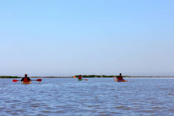 Des Hommes Kayak Confluent Danube Mer Noire Sur Fond Pélicans — Photo