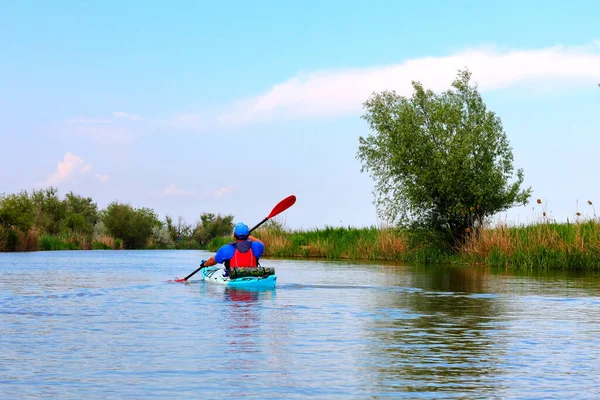 Hombre Remará Kayak Rojo Río Danubio Verano Imagen de archivo