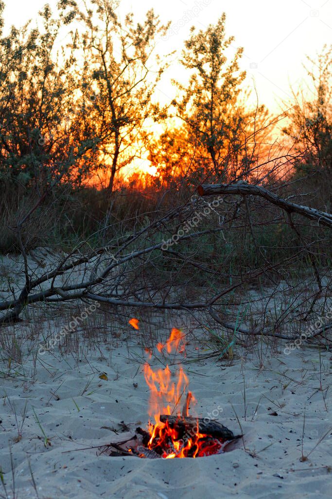 Bonfire on the beach at sunset. Bonfire on the sandy beach. Fire on the beach. Lonely fire on the seashore in summer