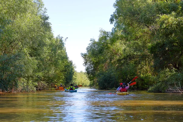 Egy Baráti Társaság Kajakkal Utazik Kajakozás Duna Bioszféra Rezervátumban Tavasszal — Stock Fotó
