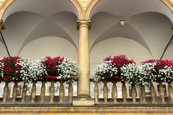 位于利沃夫市中心的古城上 科尼亚克宫牡蛎克里夫斯卡的意大利咖喱学拱廊的视觉 — 图库照片