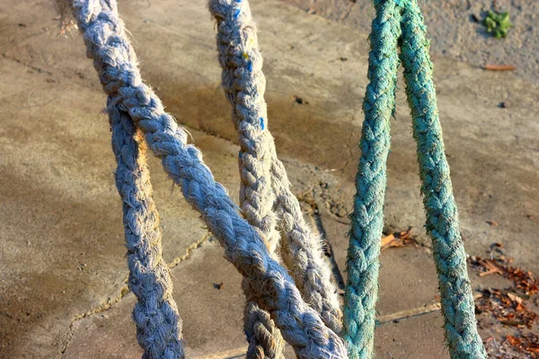 Cordas Cais Forma Tridente Emblema Ucrânia Barba Amarração Entrelaçada Com — Fotografia de Stock