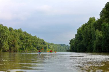 Yazın Tuna Nehri 'nde kayak yapan genç ve güzel bir çiftin arka planda yeşil ağaçlarla görüntüsü. Su üzerindeki turizm ve açık hava aktiviteleri kavramı