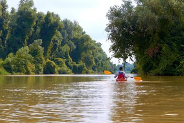 Yaz aylarında Tuna nehrinde kırmızı kano. Yaz kayağı. Macera, seyahat, eylem, yaşam tarzı kavramı