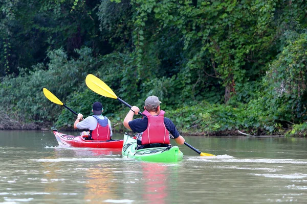 Bir grup arkadaş (insanlar) kanoyla seyahat eder. Yazın vahşi Tuna nehri ve biyosfer rezervlerinde birlikte kayak yapmak. Huzurlu bir nehir manzarası. Su turizmi kavramı