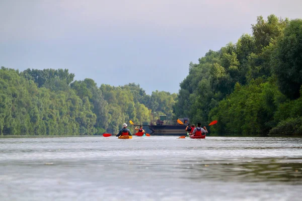 Bir grup arkadaş (insanlar) kanoyla seyahat eder. Yazın vahşi Tuna nehri ve biyosfer rezervlerinde birlikte kayak yapmak. Huzurlu bir nehir manzarası. Su turizmi kavramı