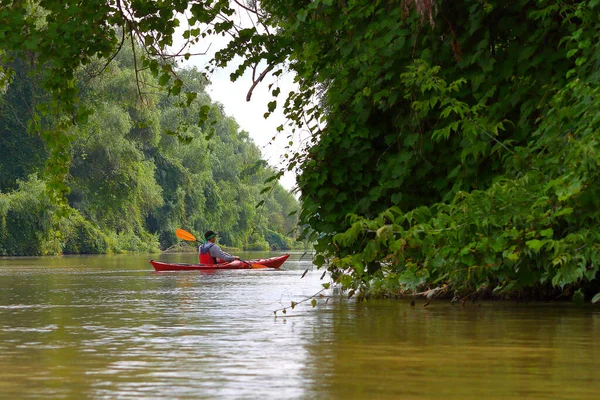 Vista Trasera Del Kayak Rojo Remo Adolescente Río Danubio Verano —  Fotos de Stock