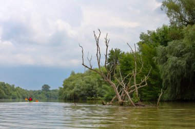 Yazın Tuna Nehri 'nde büyük bir akıntıya kapılmış yeşil kano. Yaz kayağı. Macera, seyahat, eylem, yaşam tarzı kavramı