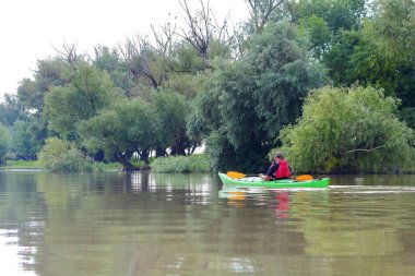 Yazın Tuna nehrinde yeşil kano süren bir adam. Yaz kayağı. Macera, seyahat, eylem, yaşam tarzı kavramı