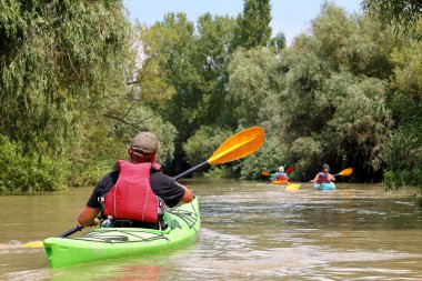 Bir grup arkadaş (insanlar) kanoyla seyahat eder. Yazın vahşi Tuna nehri ve biyosfer rezervlerinde birlikte kayak yapmak. Huzurlu bir nehir manzarası. Su turizmi kavramı