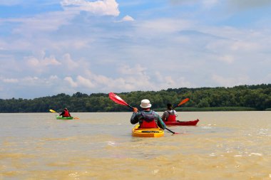 Bir grup arkadaş (insanlar) kanoyla seyahat eder. Yazın vahşi Tuna nehri ve biyosfer rezervlerinde birlikte kayak yapmak. Huzurlu bir nehir manzarası. Su turizmi kavramı