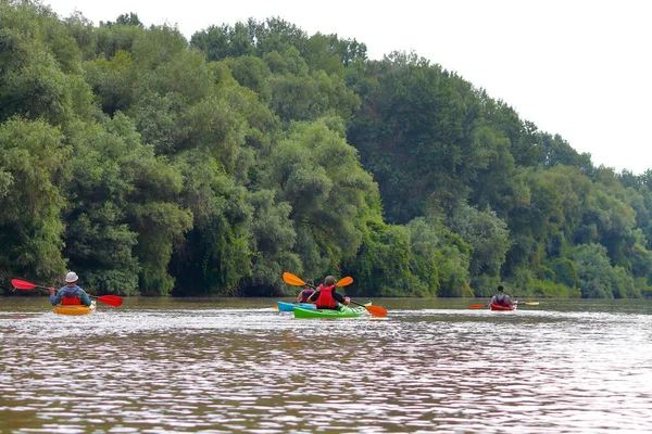 Grupul Prieteni Oameni Călătoresc Caiace Caiac Împreună Dunăre Sălbatică Rezervația — Fotografie, imagine de stoc