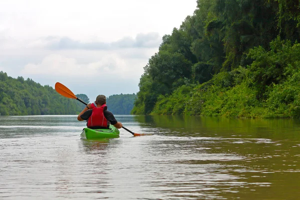 Hombre Remar Kayak Verde Verano Río Danubio Kayak Verano Concepto —  Fotos de Stock