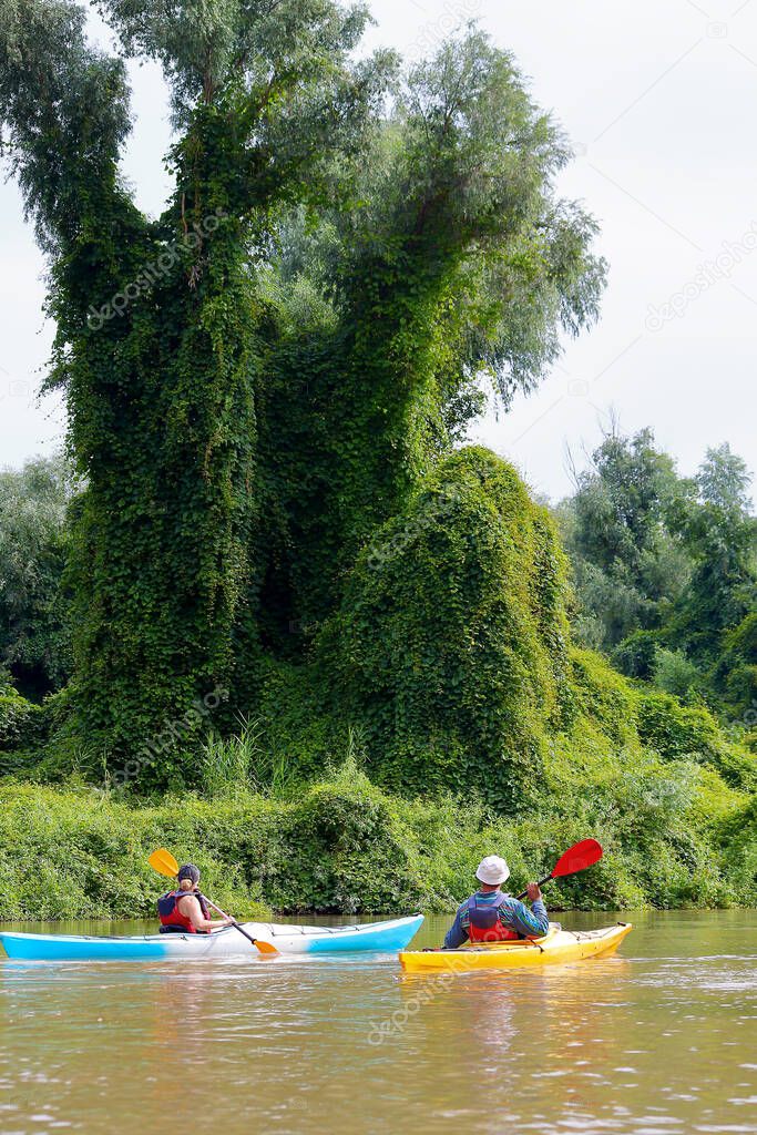 Rear view of people in two kayaks. Kayaking on summer Danube river together with green trees in the background. Concept of tourism and outdoor activities on the water