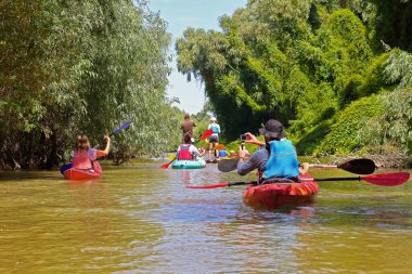 Yazın Tuna nehri ve biyosfer rezervlerinde kayak yapmak. Huzurlu bir nehir manzarası. Su turizmi kavramı. Arkadaş grubu (insanlar) kanoyla seyahat ediyor.