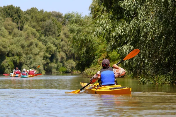 Yazın vahşi Tuna nehri ve biyosfer rezervlerinde kayak yapmak. Huzurlu bir nehir manzarası. Su turizmi kavramı. Arkadaş grubu (insanlar) kanoyla seyahat ediyor.