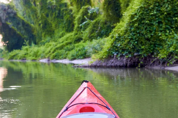 여름에 강둑에는 무성하게 나무들 포도가 근처를 살핀다 다뉴브강에 카약의 — 스톡 사진