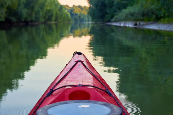 Kayaking Overgrown Shore Green Thick Thickets Trees Bow Red Kayak — Stockfoto