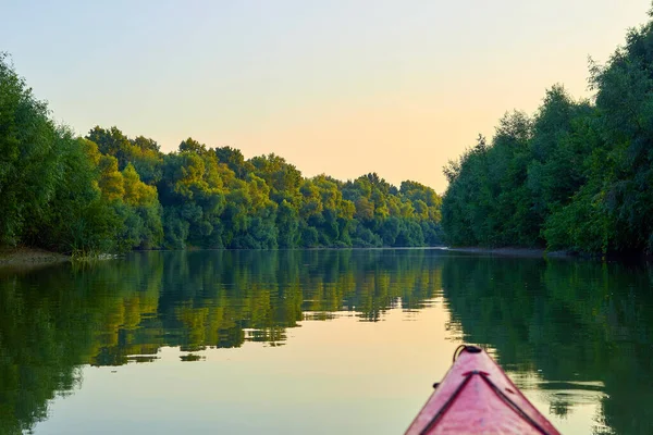 여름에 강둑에는 무성하게 나무들 포도가 근처를 살핀다 다뉴브강에 카약의 — 스톡 사진