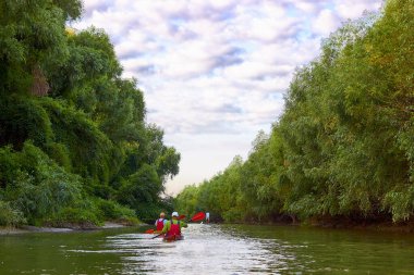 İki kanolu adamlar. Yazın, aşırı gelişmiş yeşil gür çalılıklar, yabani üzümler ve nehir kıyısında süzülen dallar kıyılarında kano yapmak. Macera, seyahat, eylem, yaşam tarzı kavramı.