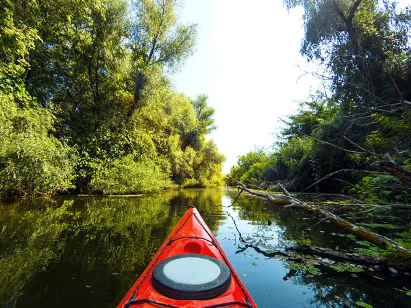 Red Kayak Floats Small River Trees Banks Bow Red Kayak — Φωτογραφία Αρχείου