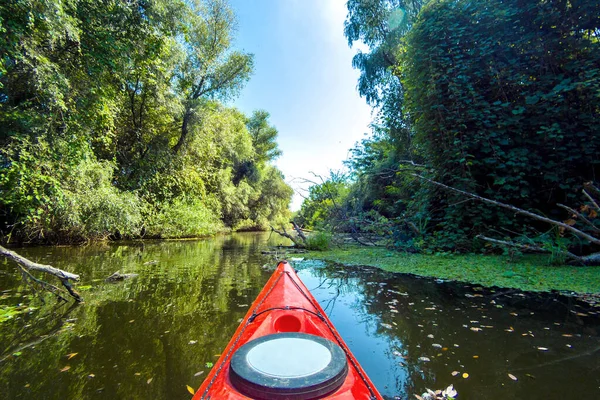 Rotes Kajak Schwimmt Auf Einem Kleinen Fluss Mit Bäumen Den — Stockfoto