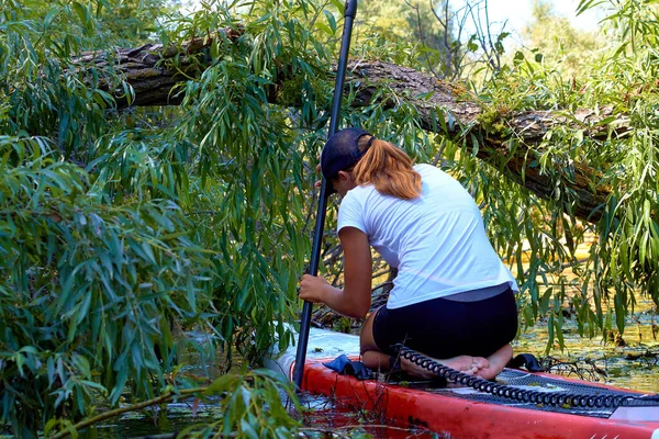Girl Sup Rowing Fallen Tree River — 스톡 사진