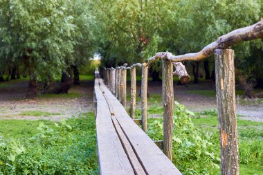 old wooden bridge and green trees