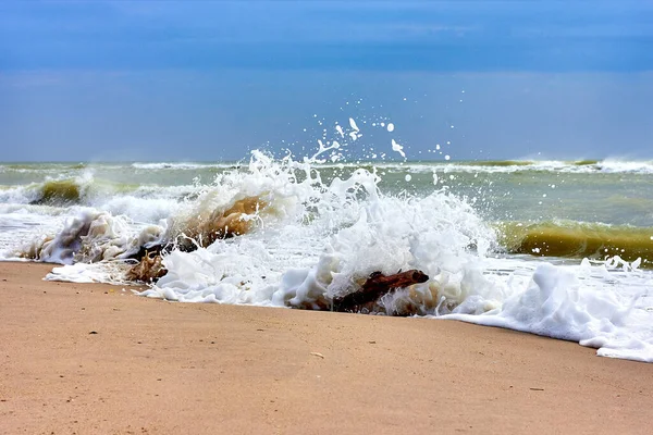 Sea Waves Beach Yellow Sand Flooded Tree Snag Driftwood Cloudy — Zdjęcie stockowe