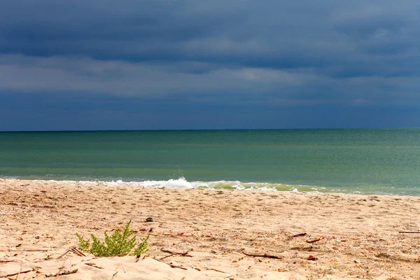 Sandy Beach Shore Cloudy Stormy Sky Sea — Foto de Stock