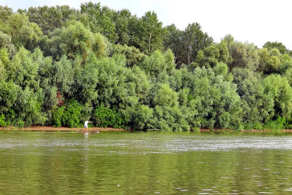 Встать Весло Посадки Парень Гребёт Внедорожнике Реки Дунай Зеленым Деревьям — стоковое фото