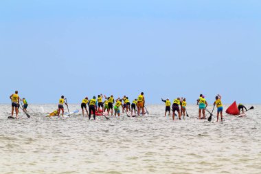 Group of people compete in rowing on stand up paddle board (SUP) on sea. View from the back