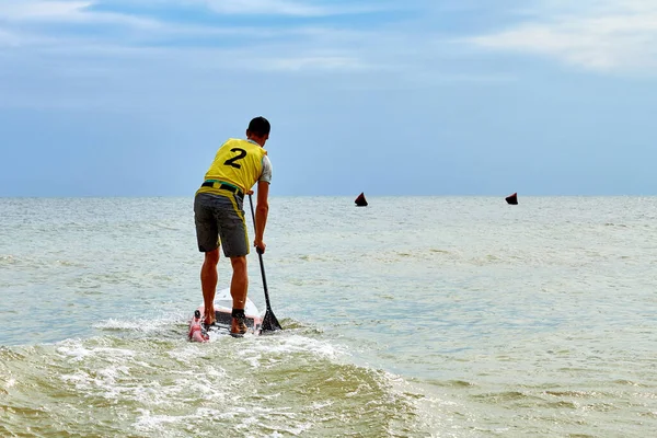 Athletic man paddling on stand up paddle board (paddleboard, SUP) on sea. Stand up paddle boarding - awesome active recreation in nature. Back view.