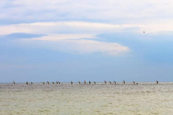 Group People Compete Rowing Stand Paddle Board Sup Sea View — Stockfoto