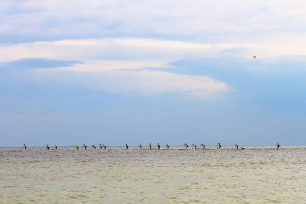 Group People Compete Rowing Stand Paddle Board Sup Sea View — Zdjęcie stockowe