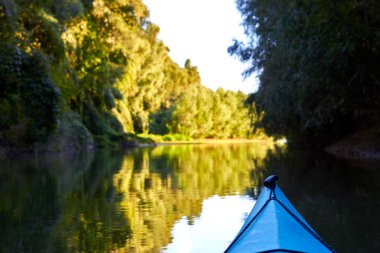 Bow (prow) of blue kayak against a background of green summer trees illuminated by the rays of the setting sun at the shore of Danube river. Kayaking on peaceful calm lake or river
