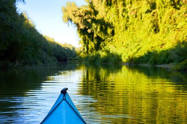 Bow (prow) of blue kayak against a background of green summer trees illuminated by the rays of the setting sun at the shore of Danube river. Kayaking on peaceful calm lake or river