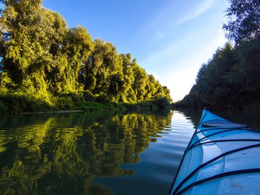 Blue kayak against at summer Danube river with green trees and wild grapes on shore illuminated by the rays of the setting sun. Kayaking on peaceful calm lake or river