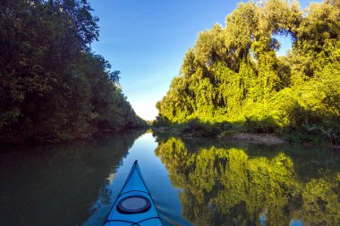 Blue kayak against at summer Danube river with green trees and wild grapes on shore illuminated by the rays of the setting sun. Kayaking on peaceful calm lake or river