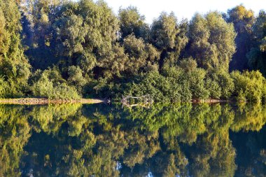 Gün batımında Tuna Nehri 'nin sakin sularında ağaçların ıslatılması. Nehir kenarında sakin bir yaz akşamı