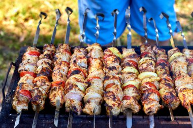 Kömürün üstünde ızgarada kızartılmış domates ve soğan. Şiş kebap ya da Şiş kebap Doğu Avrupa 'da popüler..