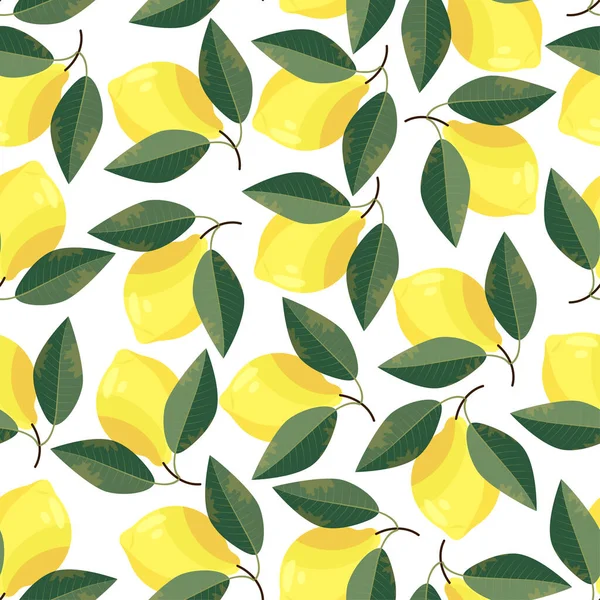白底上有叶子的桑尼柠檬 — 图库矢量图片