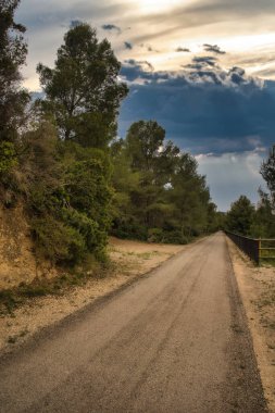 İspanya 'nın Tarragona ilindeki ebro yeşili boyunca manzara